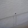The nail hole is a good clue as to the condition of the siding.  The material, in this case, has swollen so much that it pulled past the nail head.  The material was so far gone that pieces of it were falling out onto the ground.  
