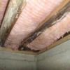 This and the next photo are from an east side Santa Rosa home.  The ventilation under the house was poor, resulting in some fairly significant damage to the floor joists.  While this type of damage is actually the responsibility of a pest inspector, I try to give buyers as much information as I can.