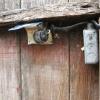 The next two photos show the little known line of Hamms landscape lighting.  Homemade out of a couple of beer cans and rubber light sockets, this setup was attached to the perimeter fence of a Santa Rosa home.  Clever, but NO!