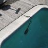 One of my favorite photos, prized for its shock value (get it?).  A bit hard to see, but an extension cord has been run from (or to... not sure which) the underwater pool light at this Santa Rosa home.  What a stupendously bad idea.